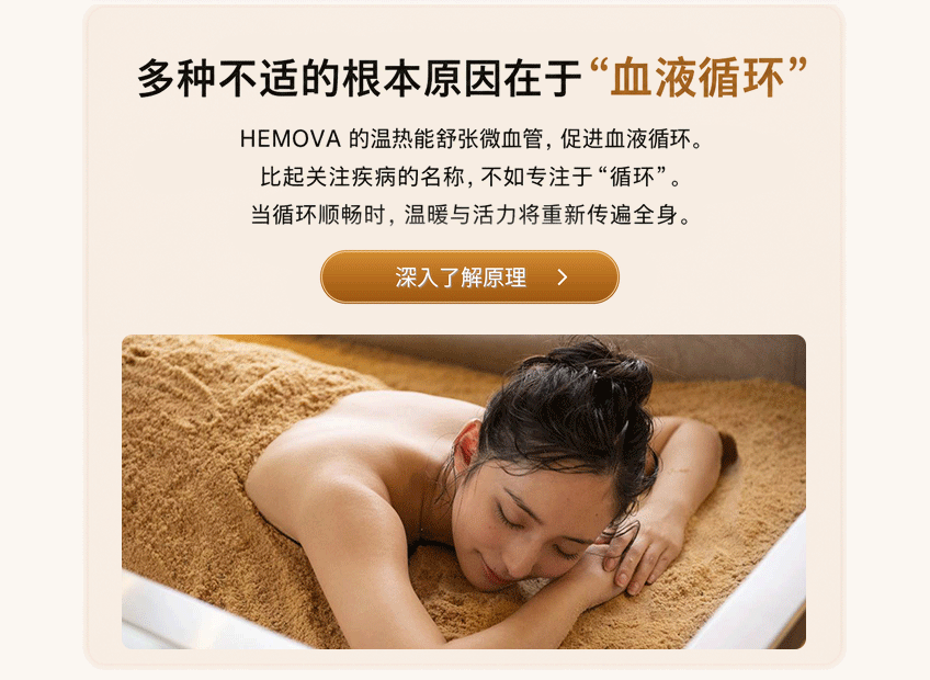 HEMOVA 血液循环原理介绍