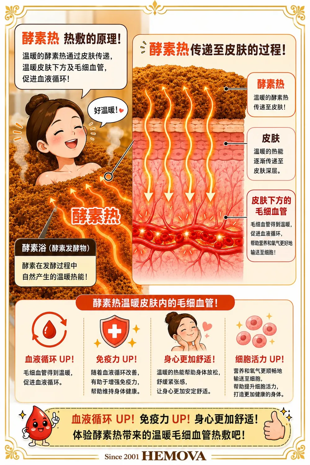 HEMOVA 原理图解 1