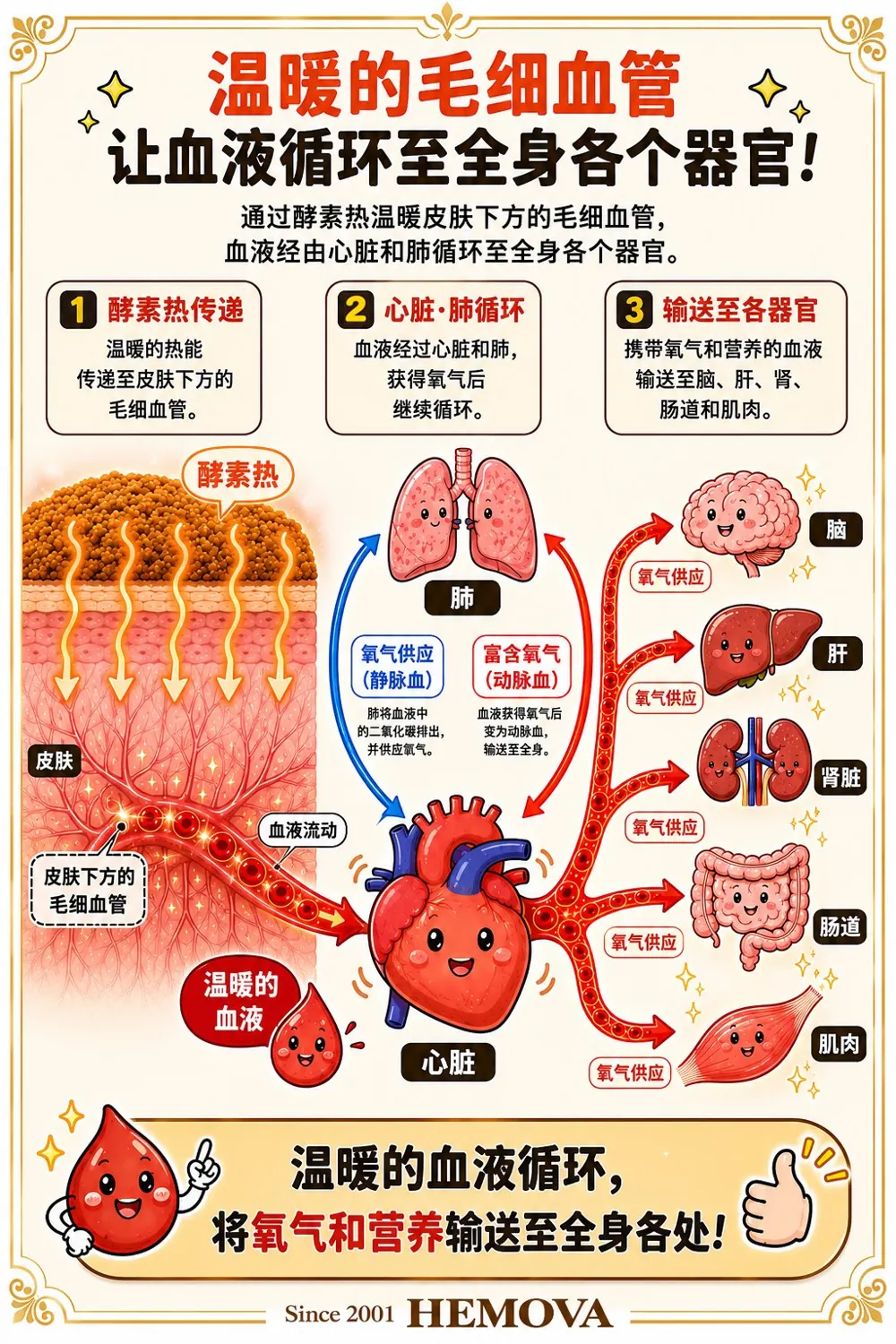 HEMOVA 原理图解 2