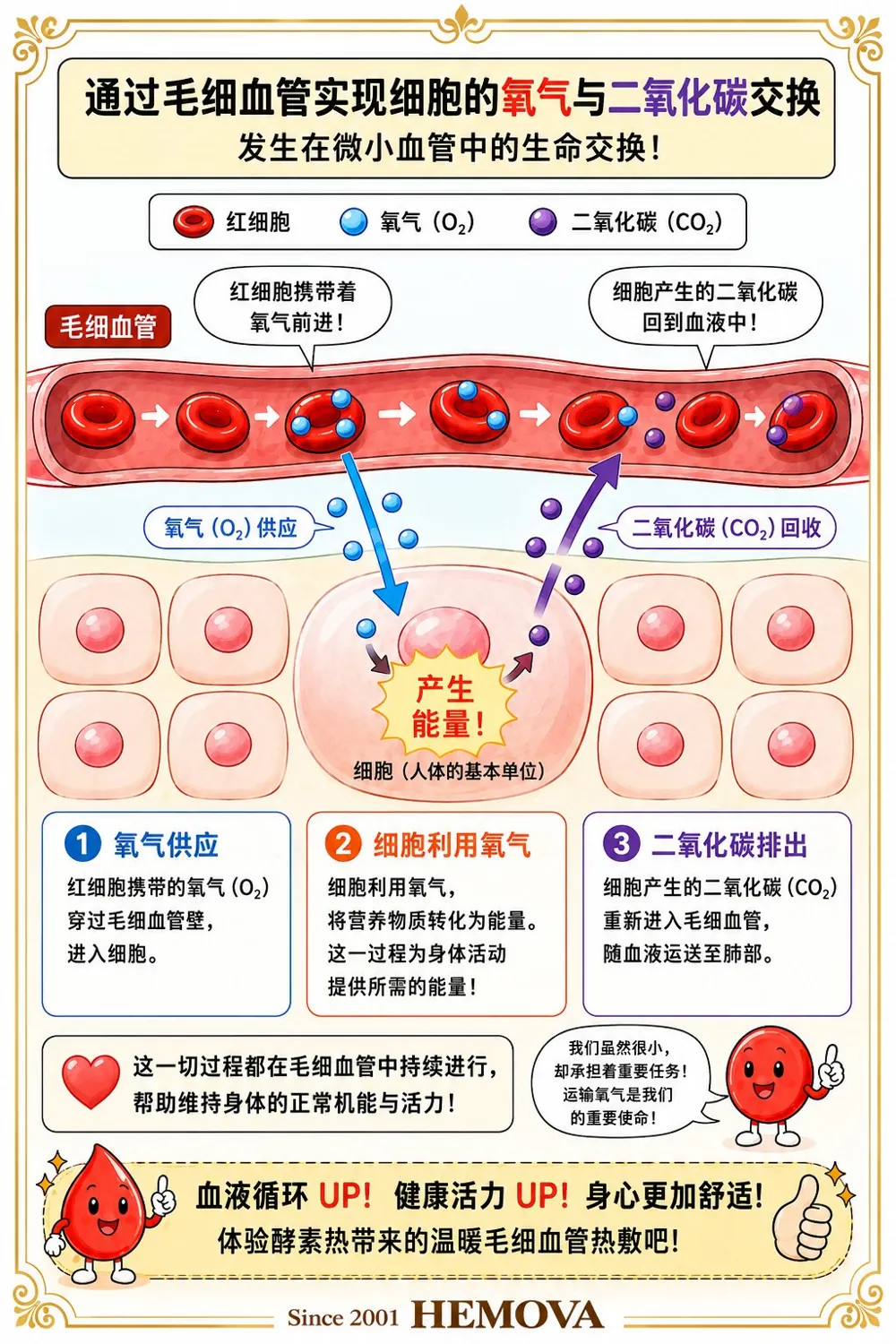 HEMOVA 原理图解 3