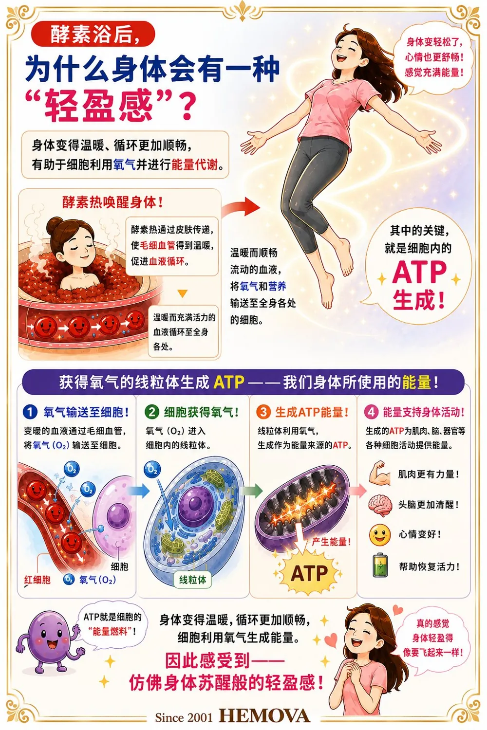 HEMOVA 原理图解 5